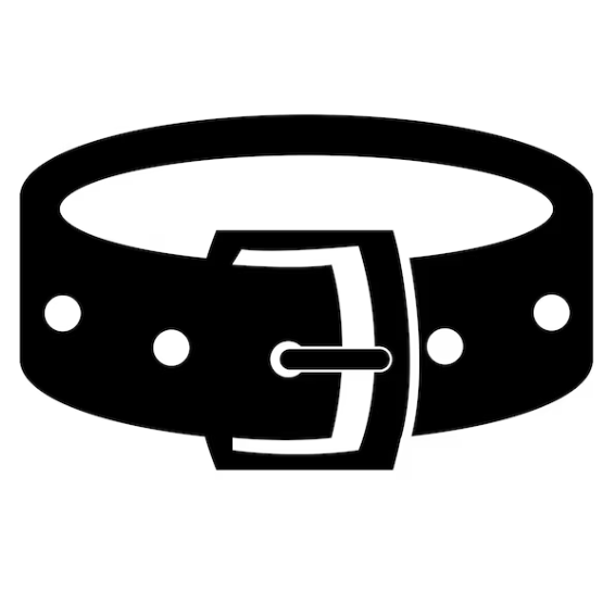 Luxury Belts
